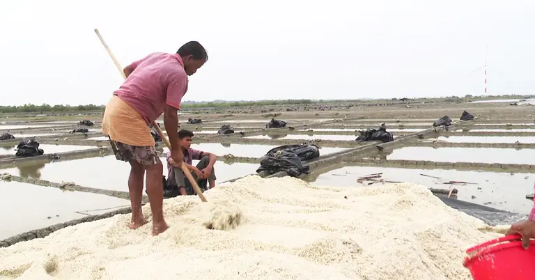 কক্সবাজারে টানা বৃষ্টিতে লবণ শিল্পে স্থবিরতা: ১২ দিনে উৎপাদন ঘাটতি লাখ টন